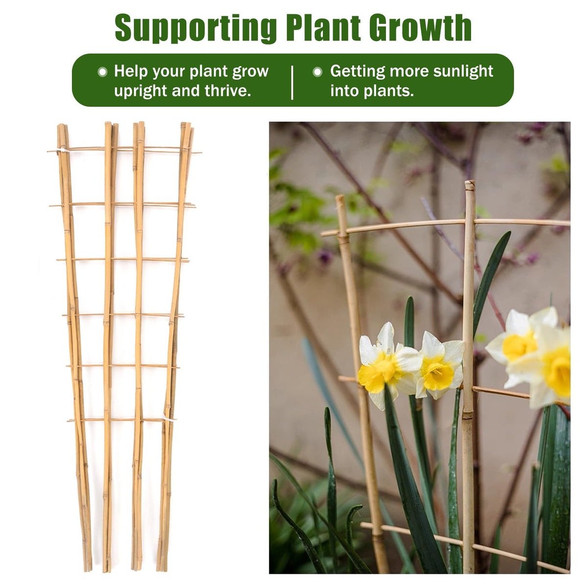 Generic bamboo trellis natural bamboo supports growth while blending with garden surroundings.