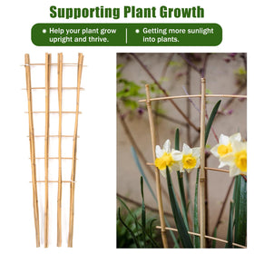 Generic bamboo trellis natural bamboo supports growth while blending with garden surroundings.