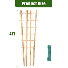 Generic bamboo trellis 4ft fan-shaped supports cucumbers and tomatoes.