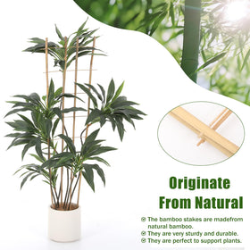 Generic bamboo trellis weather-resistant supports year-round gardening.