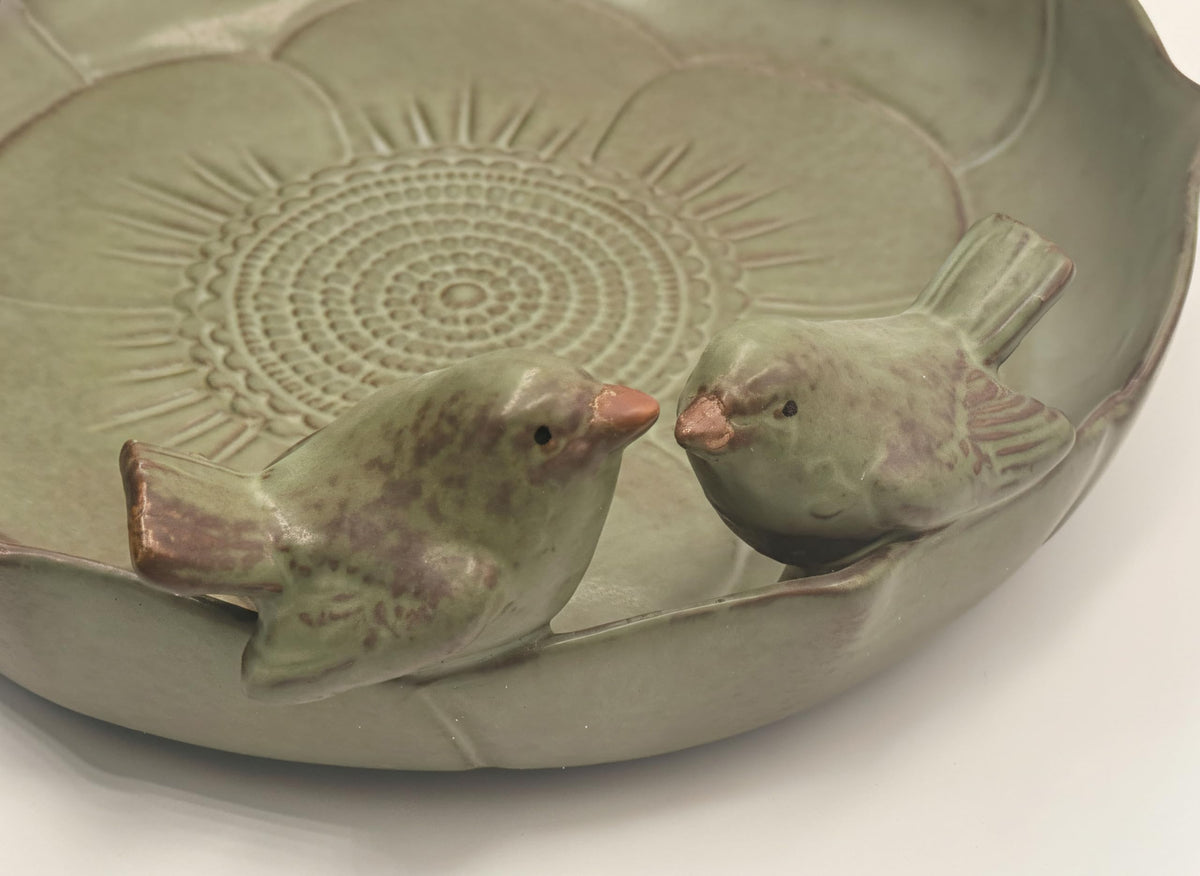 Generic outdoor ceramic bird bath on ground easy to place