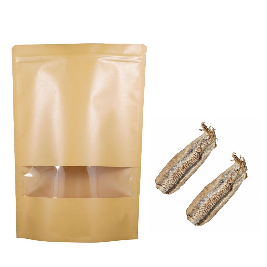 Generic Carolina Praying Mantis egg case in habitat bag shows early nymphs, ideal for STEM learning.