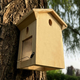 Generic Carpenter Bee Trap dual-action-system provides a complete defense.