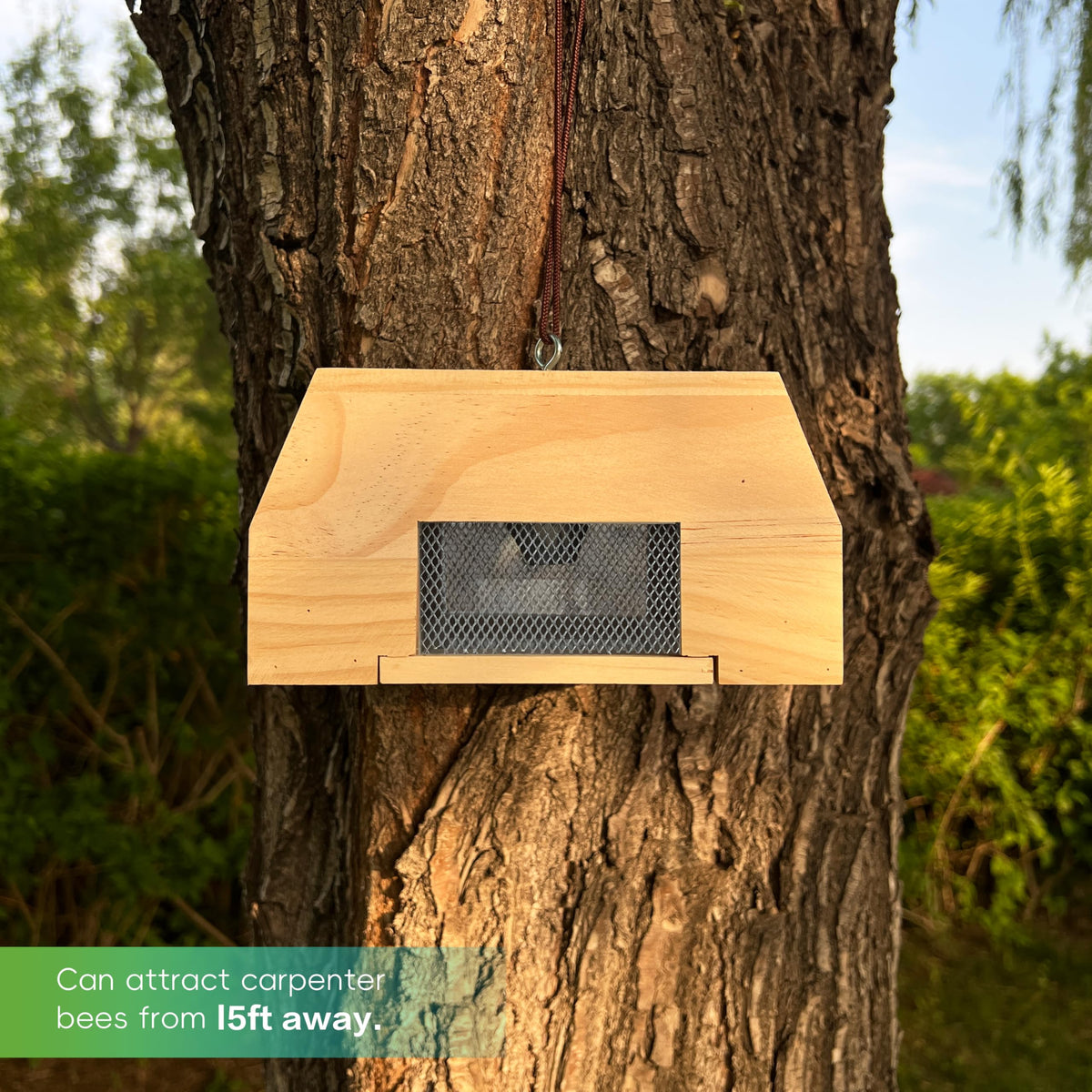 Generic carpenter bee trap on a sunny eave uses heavy duty screws for stable outdoor placement