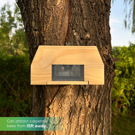 Generic carpenter bee trap on a sunny eave uses heavy duty screws for stable outdoor placement