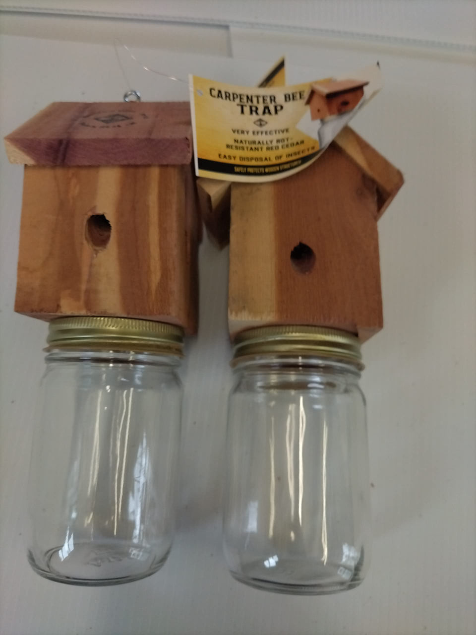 Generic Carpenter Bee Trap hanging outside to protect wood structures
