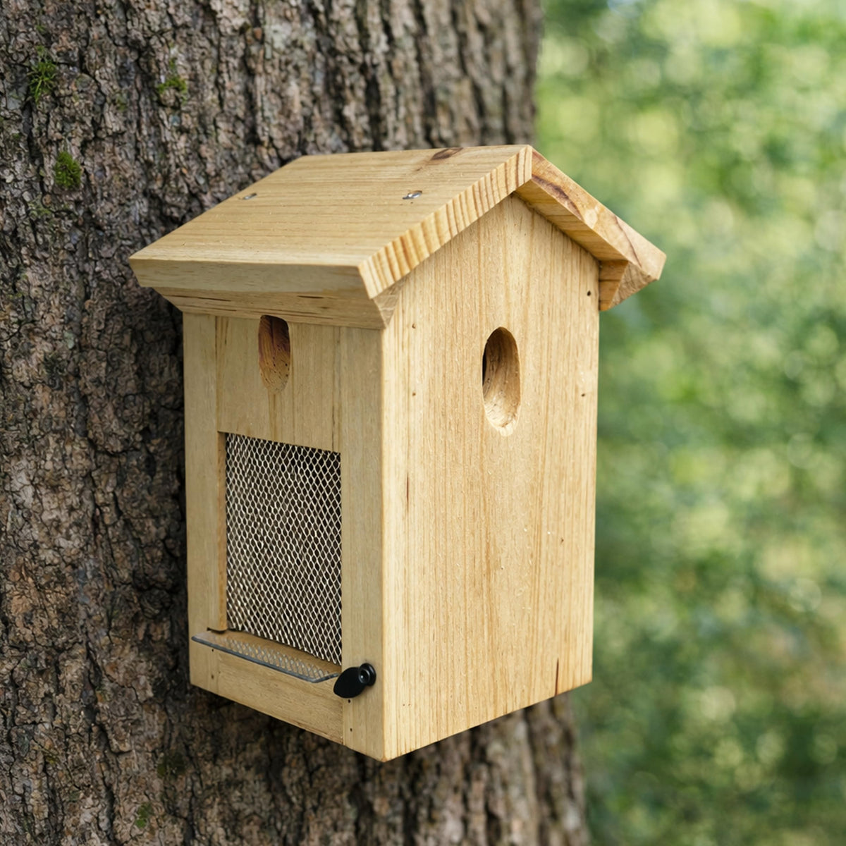 Generic Carpenter Bee Trap sunny-placement demonstrates ideal mounting in sunlit spots.