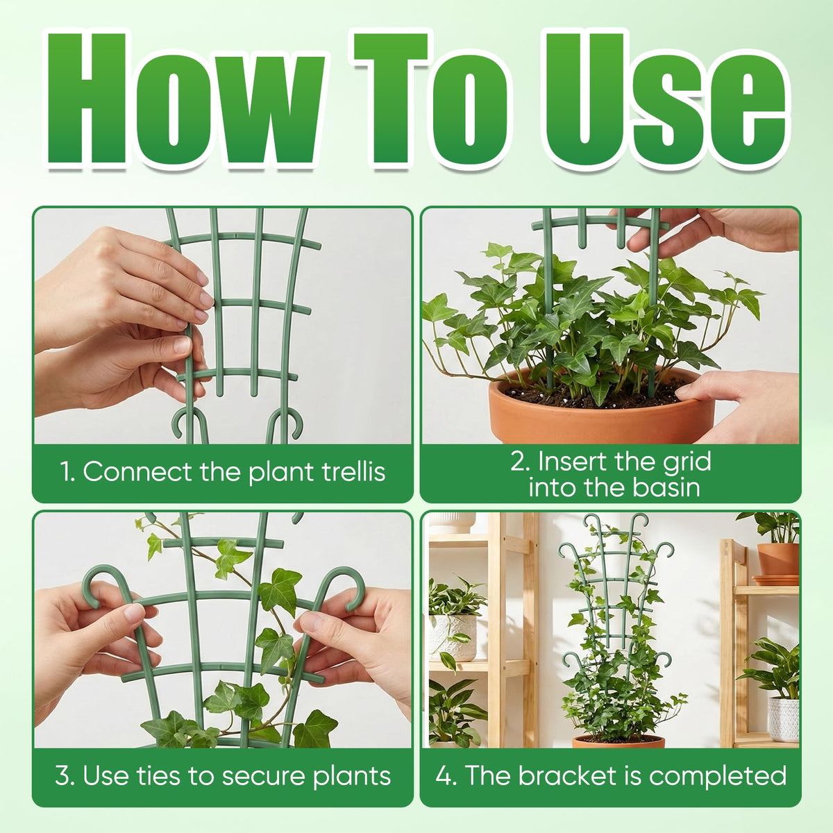Generic climbing-vines support for pothos and ivy keeps growth tidy.