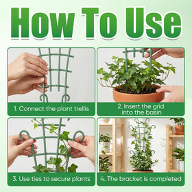 Generic climbing-vines support for pothos and ivy keeps growth tidy.