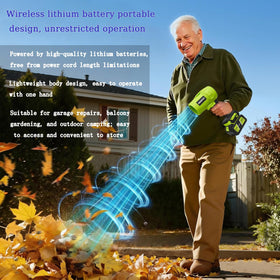 Generic cordless leaf blower helps clean car interiors with ease