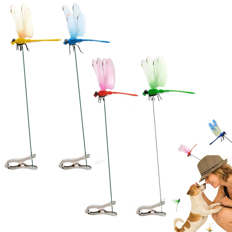 Generic dragonfly clip shows realistic wings for vibrant garden displays