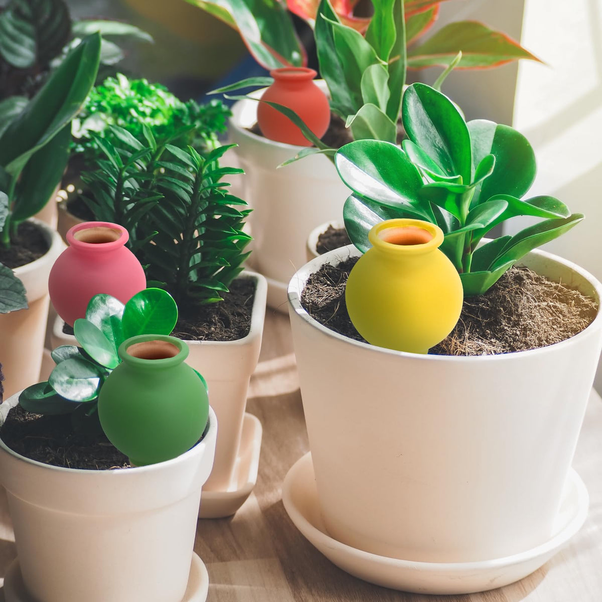 Generic easy-fill terracotta globe is simple to insert and refill