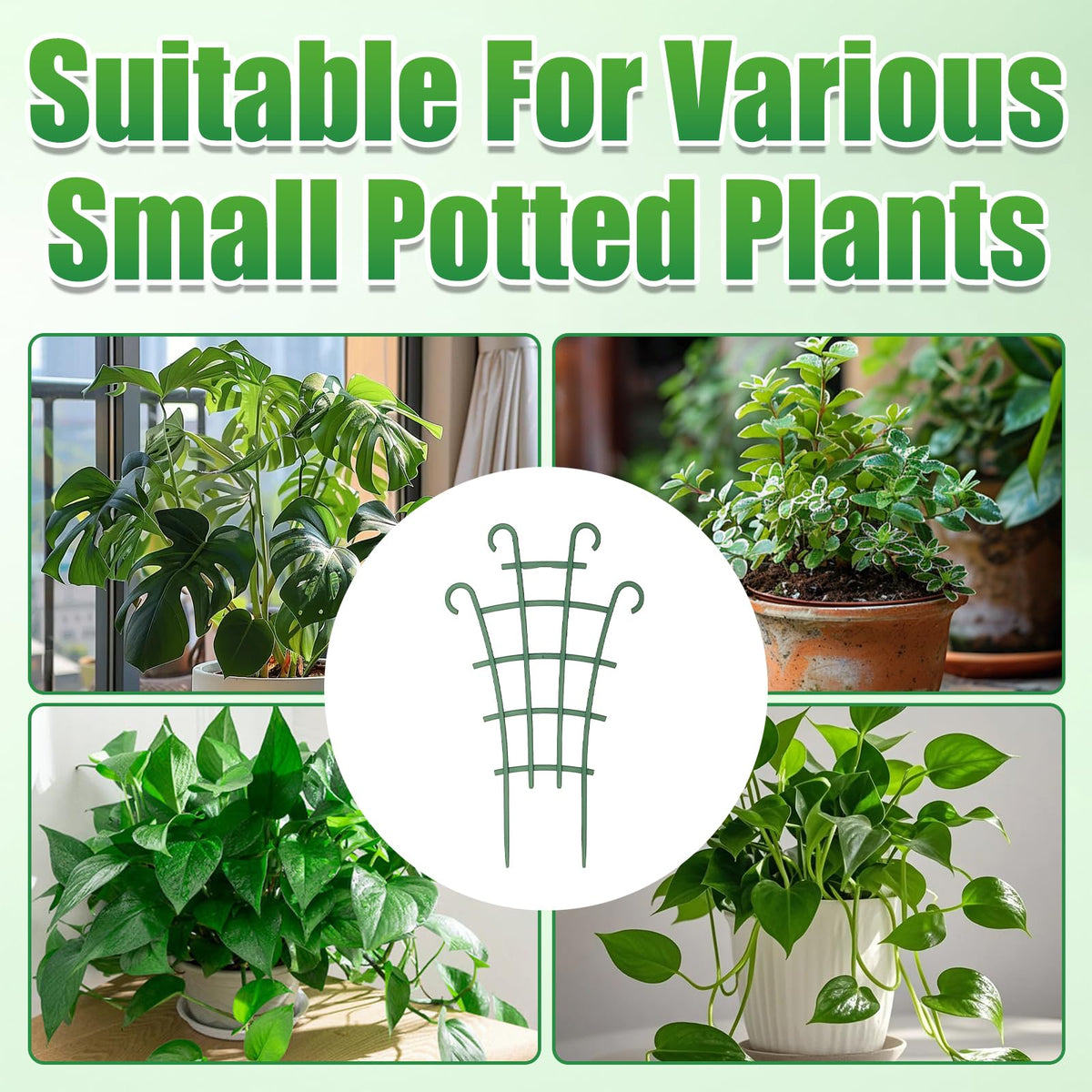 Generic easy-install no-tools plant stand helps beginners set up quickly.