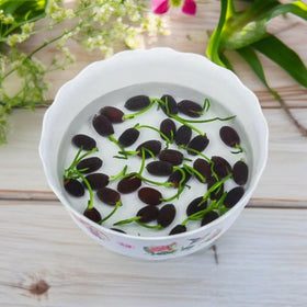 Generic easy-planting lotus seeds beginner-friendly for simple germination and steady growth