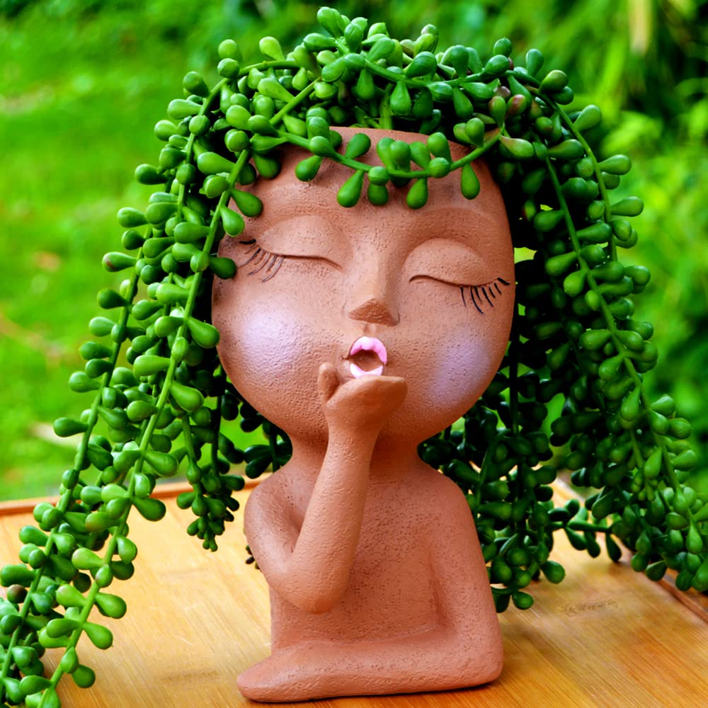 Generic Face Planter as indoor decor on a shelf