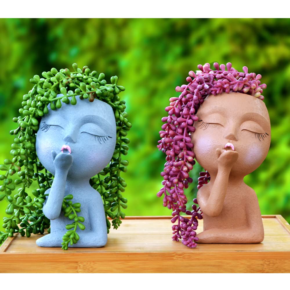 Generic Face Planter with small succulent, showcasing compact size