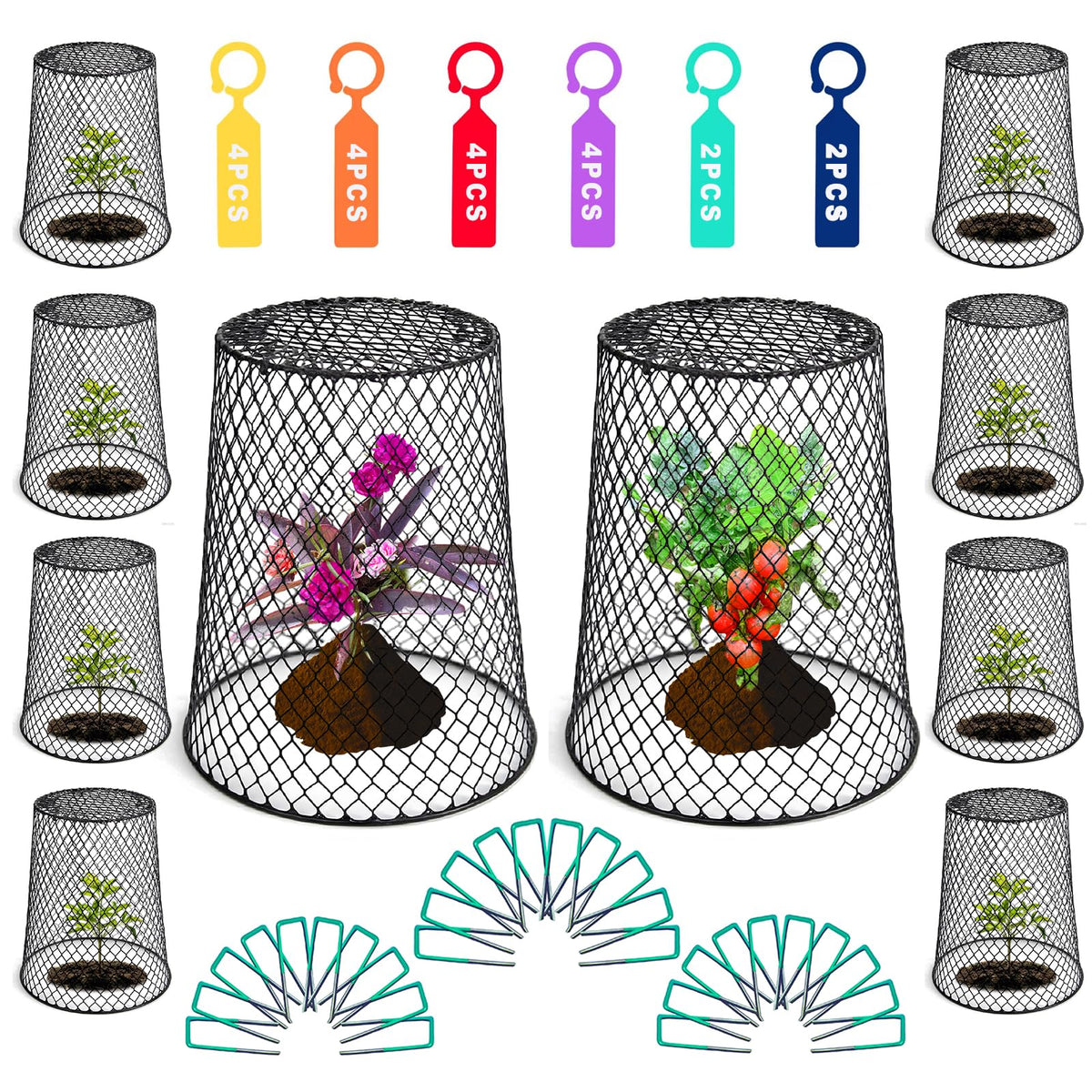 Generic Feel Natural cloche set protects seedlings from animals.