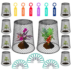 Generic Feel Natural cloche set protects seedlings from animals.
