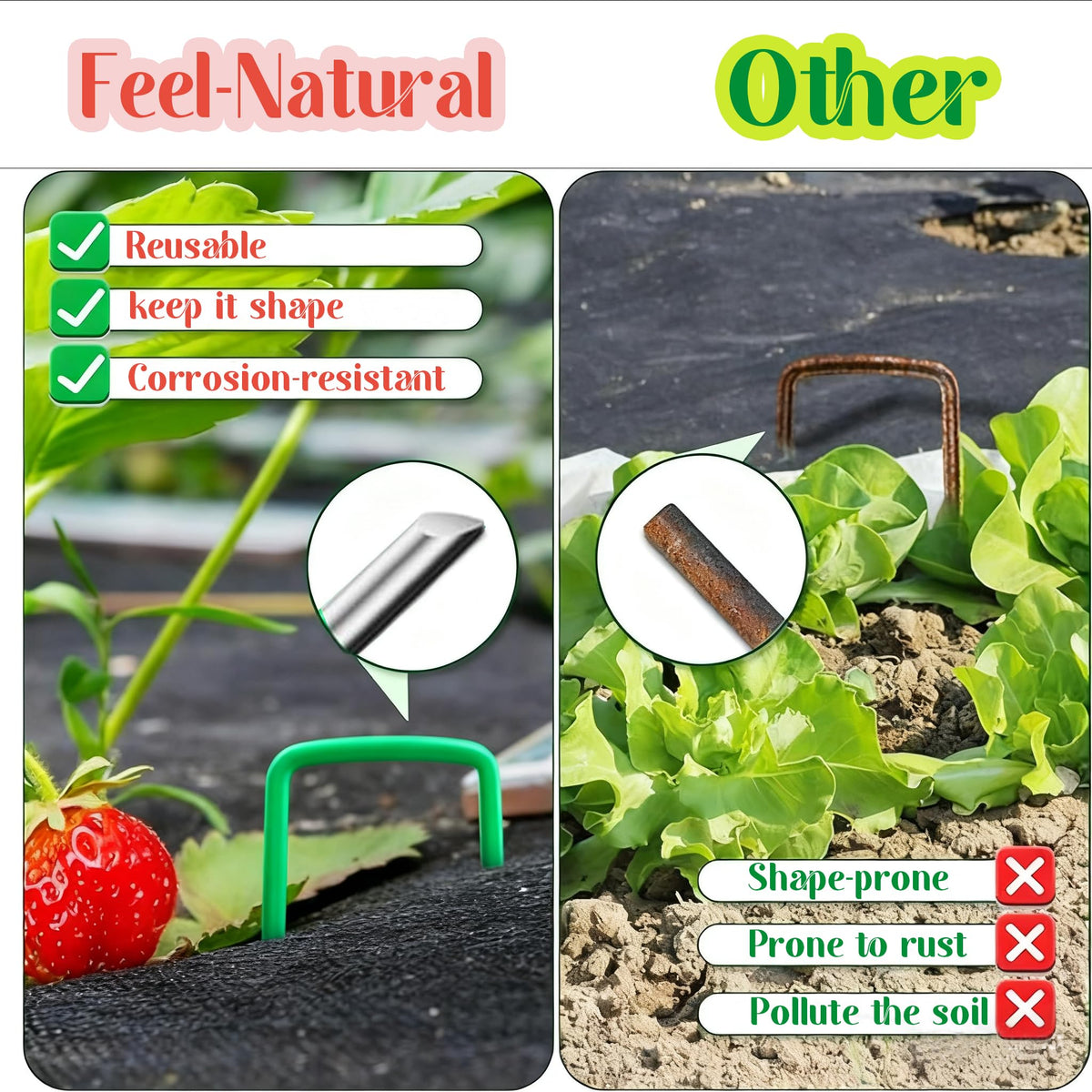Generic Feel Natural seedling and strawberry protection guards young plants.