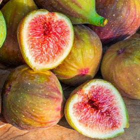 Generic fig seeds mix after soaking shows readiness-to-plant and faster germination.
