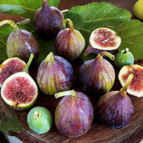 Generic fig seeds mix for planting in soil promises a lush, fruit-bearing garden.