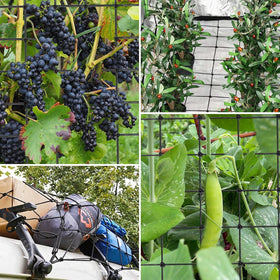Generic foldable trellis net stored compactly when not in use.