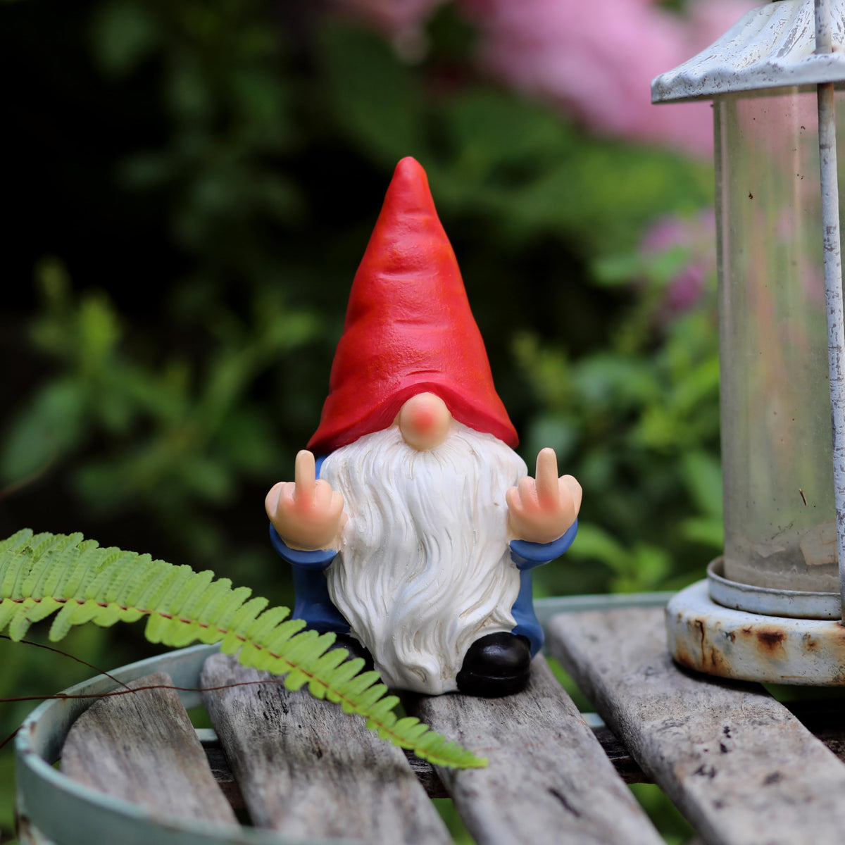 Generic Garden Gnome Gift Idea, a humorous option for adults.