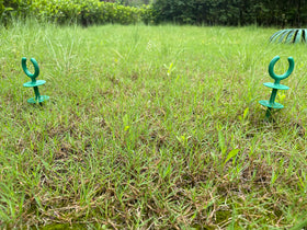 Generic garden hose nails close-up, shows sturdy plastic design for outdoor use.