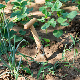 Serrated cone tip facilitates smooth soil penetration.