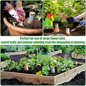 Generic gift-pack watering spikes ideal for plant lovers.