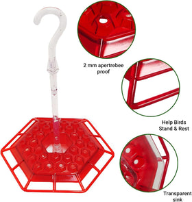 Generic Hummingbird Feeder with 30 ports for backyard viewing.