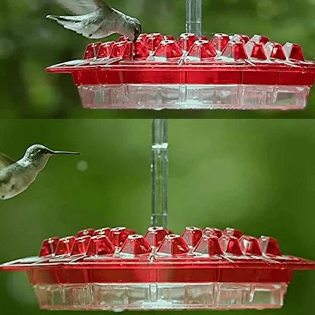 Generic hummingbird feeder built in ant moat helps deter insects