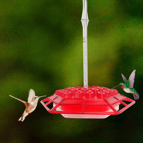 Generic Hummingbird Feeder easy-clean refill process for garden use.