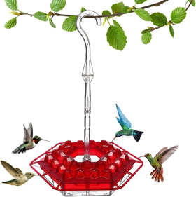 Generic Hummingbird Feeder outdoors 10oz with easy hanging and pest protection.