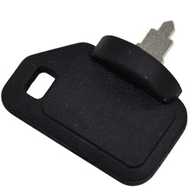 Generic ignition keys with ring demonstrating simple storage option.
