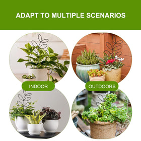 Generic indoor trellis elevates balcony pots with natural leaf silhouette.