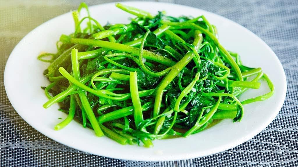 Generic Kangkong seeds germination test shows high potential for quick growth