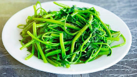 Generic Kangkong seeds germination test shows high potential for quick growth