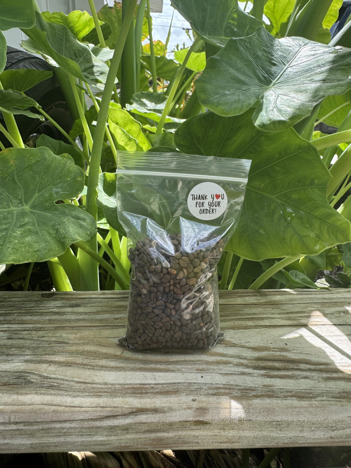 Generic Kangkong seeds harvest-ready plants perfect for fresh stir-fries.