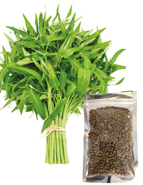 Generic Kangkong seeds in packaging front, highlighting non-GMO heirloom quality for home gardens.