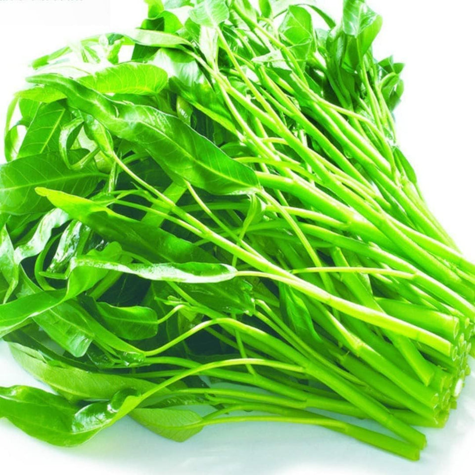 Generic Kangkong seeds pack front view highlighting non-GMO branding for versatile planting