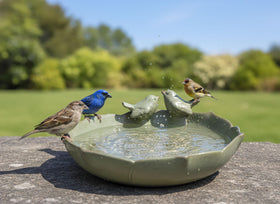 Generic large ceramic bird bath on ground with smooth glaze for birds to drink