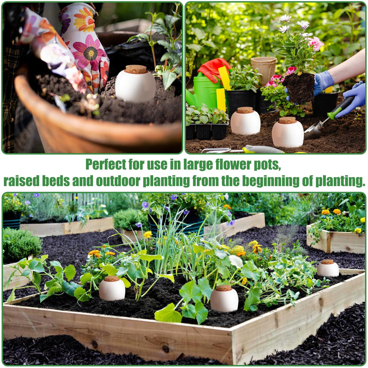 Generic Terracotta spikes in large pots for consistent hydration