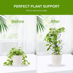 Generic leaf design enhances display while supporting growth for ivy, pothos, and monsteras.