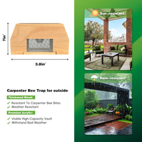 Generic carpenter bee trap in leaning tower design attracts bees in sunny areas