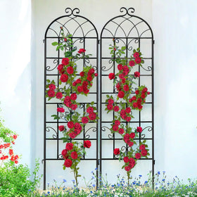 Generic Lorenzo Trellis 2-pack assembly demonstrates quick setup for balcony gardens.