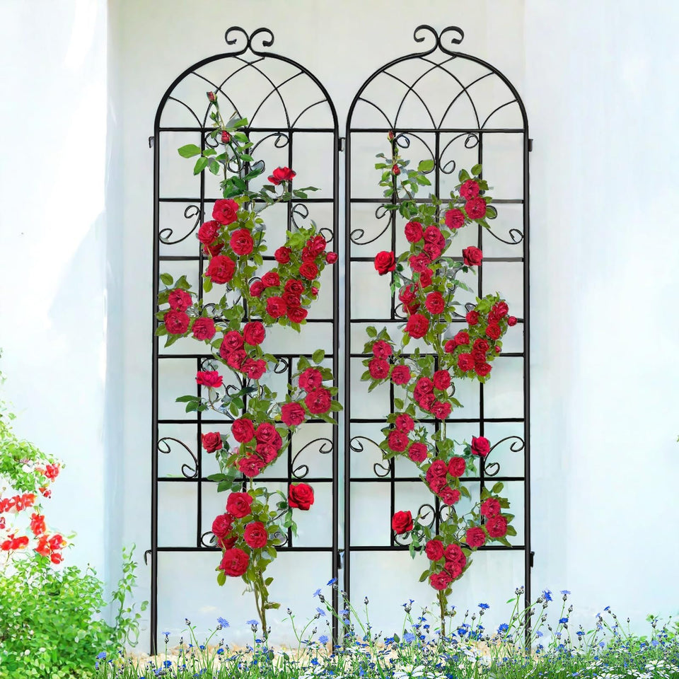 Generic Lorenzo Trellis 2-pack assembly demonstrates quick setup for balcony gardens.