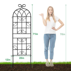 Generic Lorenzo Trellis durable frame withstands wind and rain for year-round outdoor use.