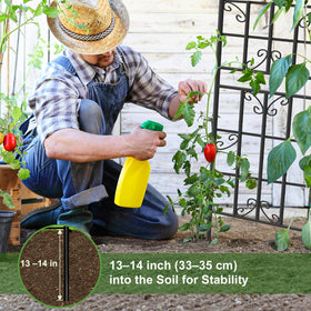 Generic Lorenzo Trellis easy install with plug-and-play design enables fast, tool-free setup.
