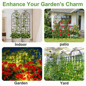 Generic Lorenzo Trellis multi-purpose support for roses, vines, and vegetables in any setting.